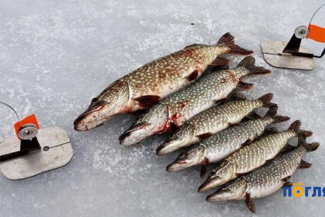 Погляд — новини Київщини онлайн - a10ed38d-883f-4cf9-8122-0290d7a5d978 - зображення